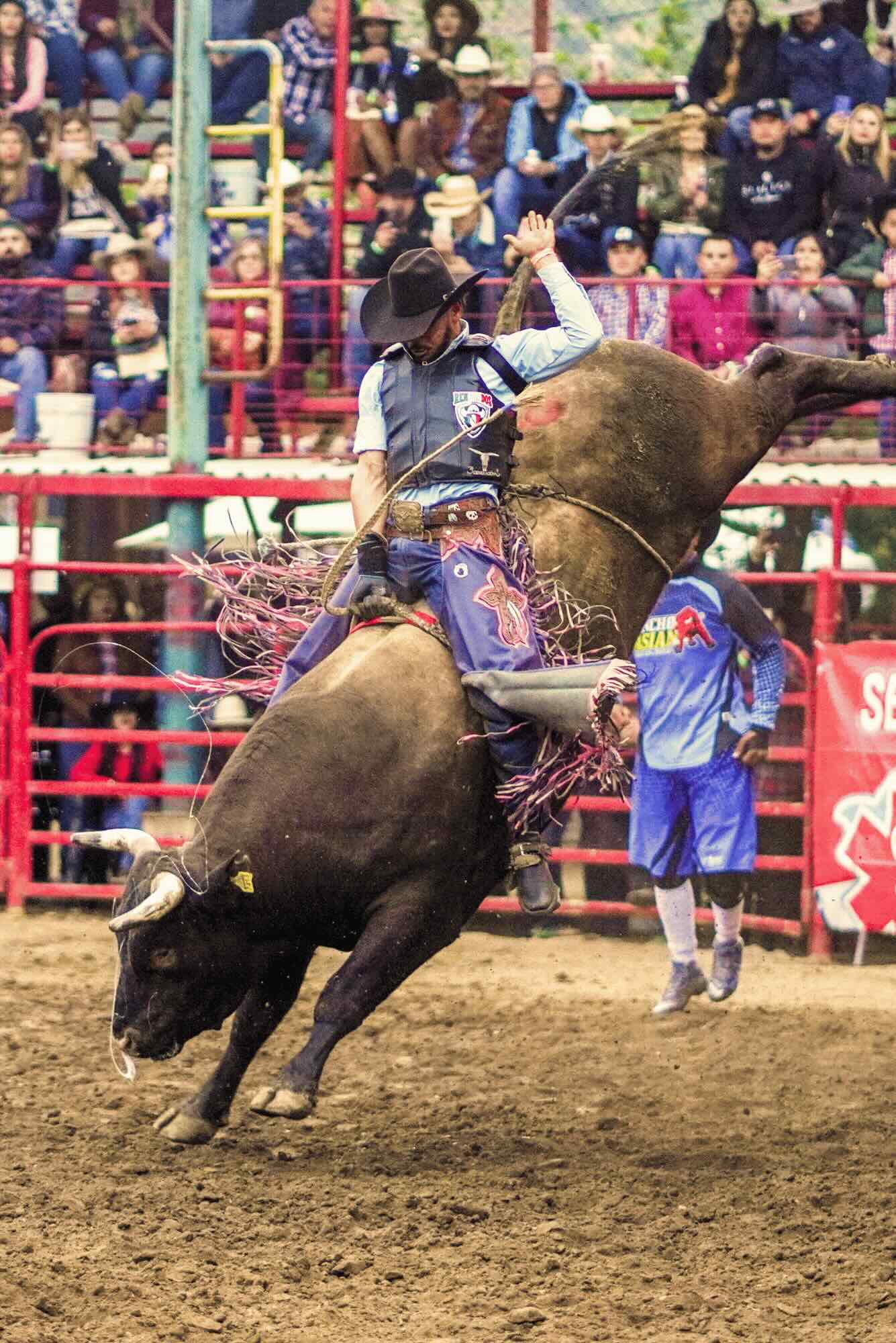 jineteo de toro